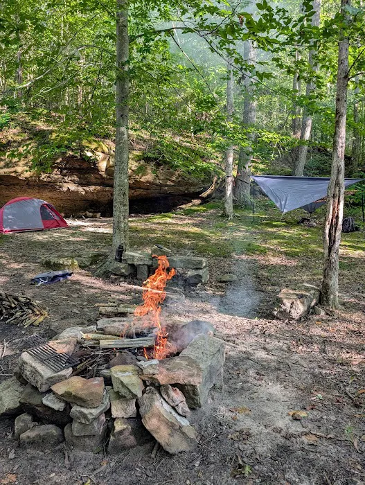 Johnson Homeplace Backcountry Campsite Picture 1