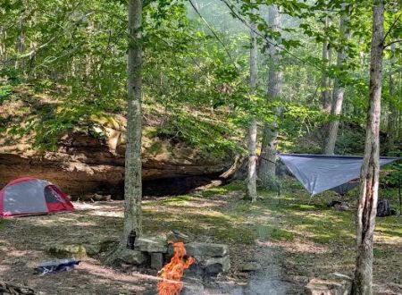 Johnson Homeplace Backcountry Campsite