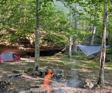 Johnson Homeplace Backcountry Campsite