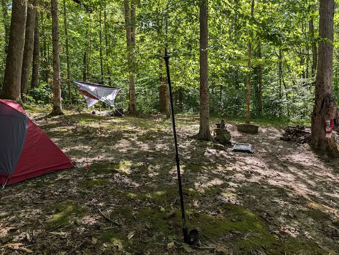 Johnson Homeplace Backcountry Campsite Picture 2