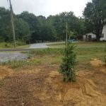 Dry Ridge RV Park