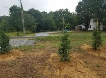 Dry Ridge RV Park