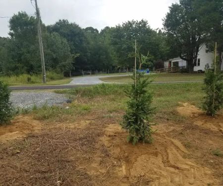 Dry Ridge RV Park