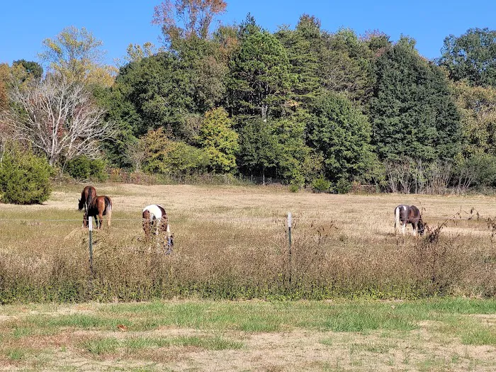 Cherokee RV Park Picture 4