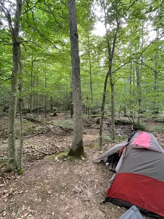 Shawnee Forest Backpacking Trail Camp 4 Picture 1