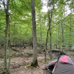 Shawnee Forest Backpacking Trail Camp 4