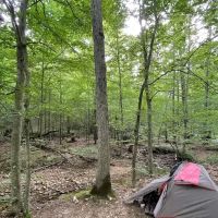 Shawnee Forest Backpacking Trail Camp 4 ico
