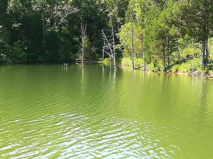 Mineral Springs Lake Resort Picture 9