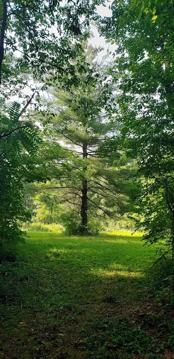 Paint Creek Horse Camp Picture 7