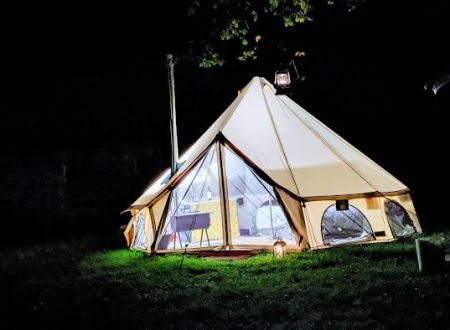 Camp Swallowtail