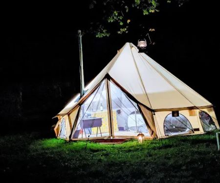 Camp Swallowtail