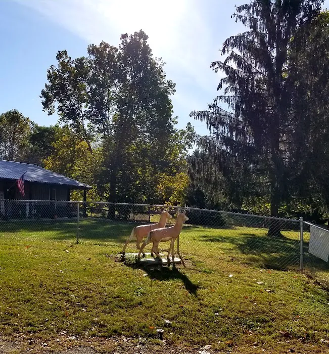 Shady Trails Family Campground Picture 2