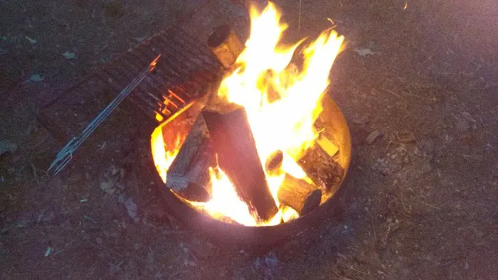 shady trails campground Picture 9