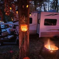 shady trails campground ico