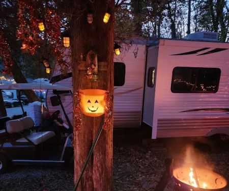 shady trails campground