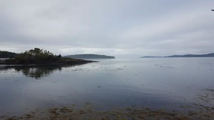 Seaview RV Resort and Cottages Picture 10