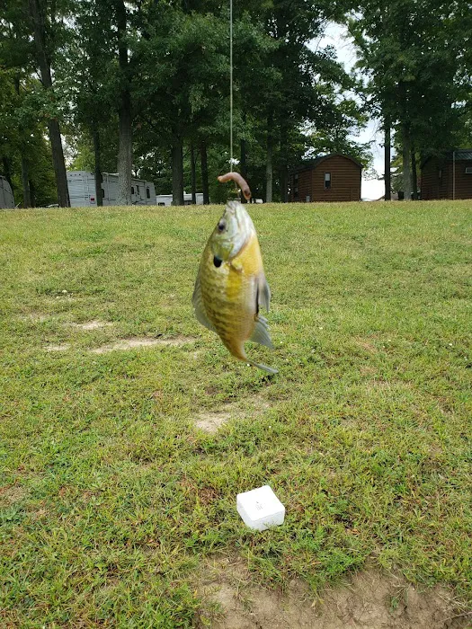 Twin Lakes Park Picture 10
