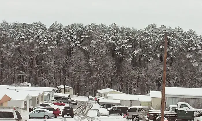 Paradise Valley Mobile Home Community Picture 3