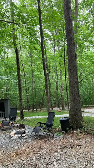 Hidden Oasis at High Rock Lake Picture 3