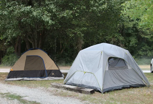 Cobble Hill Campground Picture 6