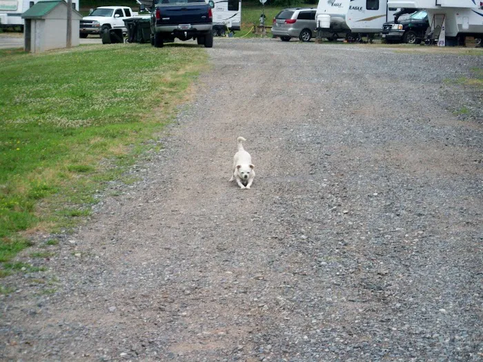 Golden Pond Campground Picture 9