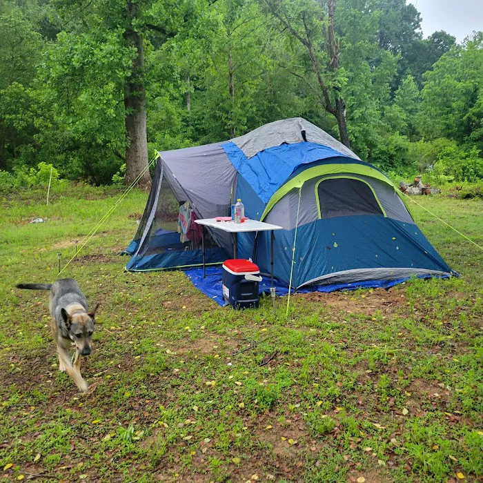 Hiddenite Family Campground Picture 7