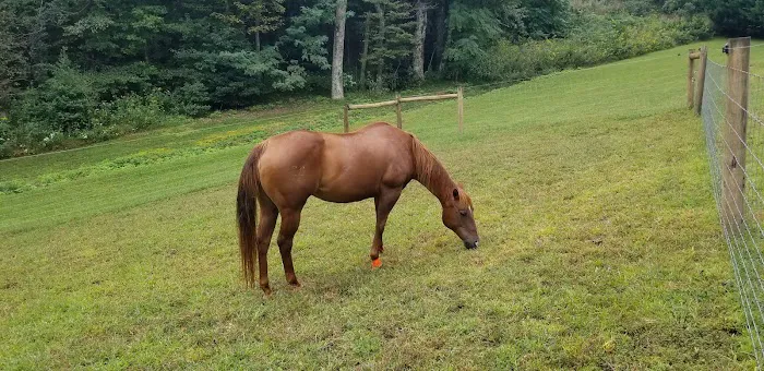 FARM NANNY Picture 2