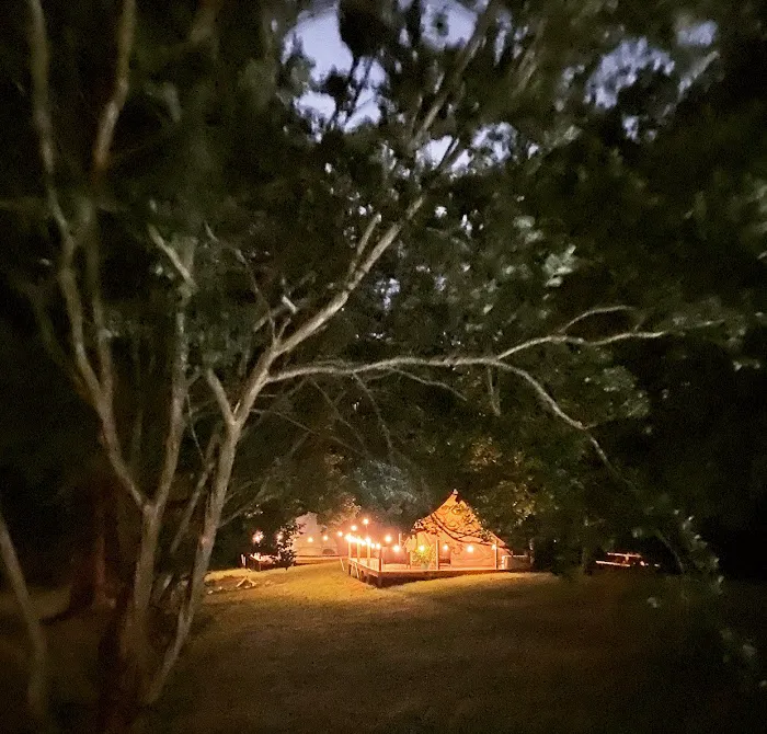Wildwood Heart Farm, LLC Picture 6