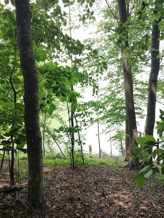 Warrior Creek Campground Picture 8