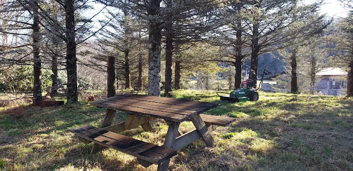 Creeper Trail Campground Inc Picture 6