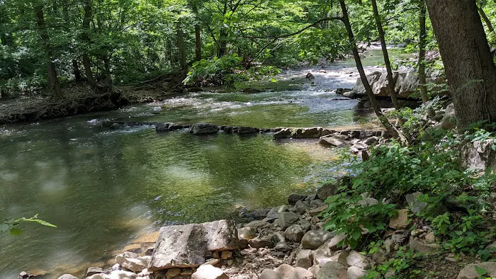 Laurel Creek RV Park Picture 9