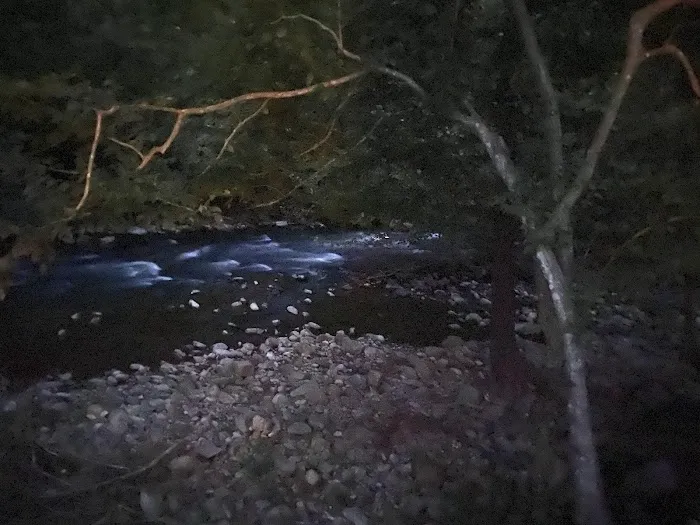 Laurel Creek RV Park Picture 4