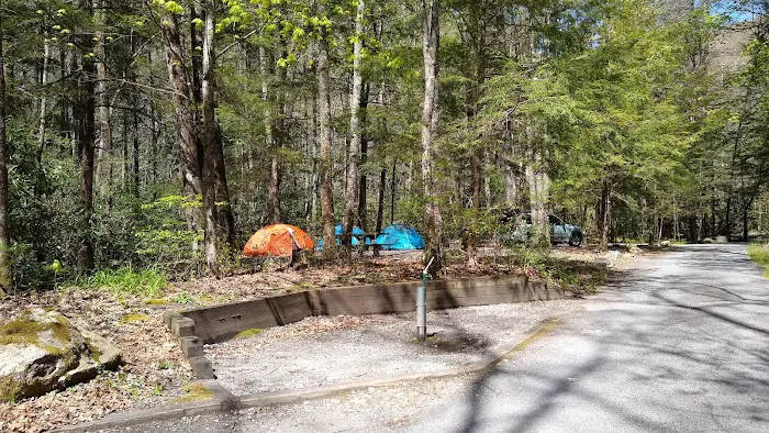 Backbone Rock Campground Picture 7