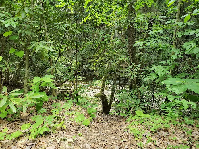 Backbone Rock Campground Picture 2