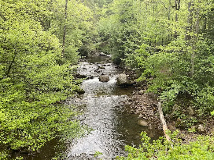 Backbone Rock Campground Picture 4