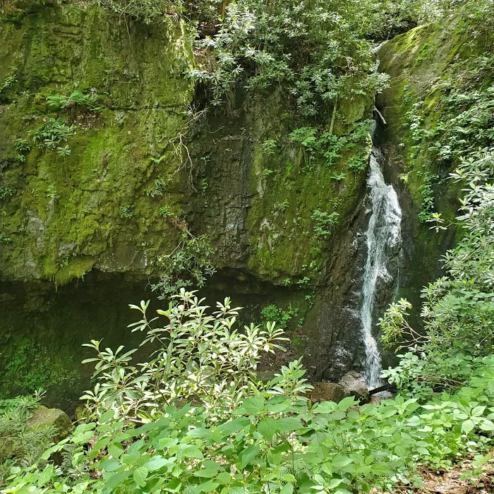 Backbone Rock Campground Picture 10