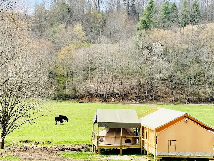 Into the Wild Retreat Picture 1