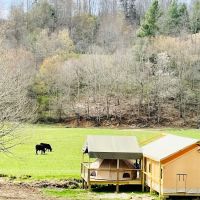 Into the Wild Retreat ico