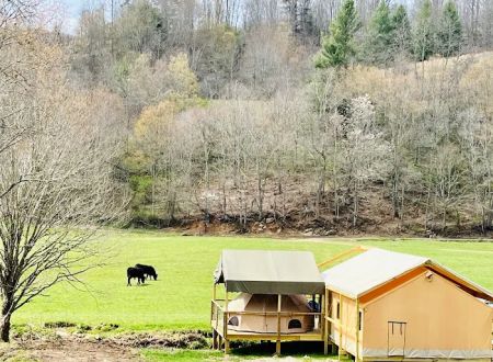 Into the Wild Retreat