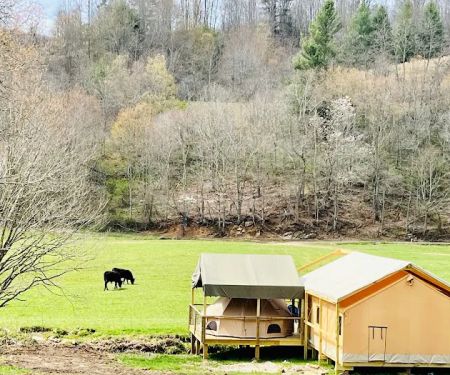 Into the Wild Retreat