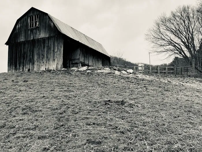 Into the Wild Retreat Picture 10