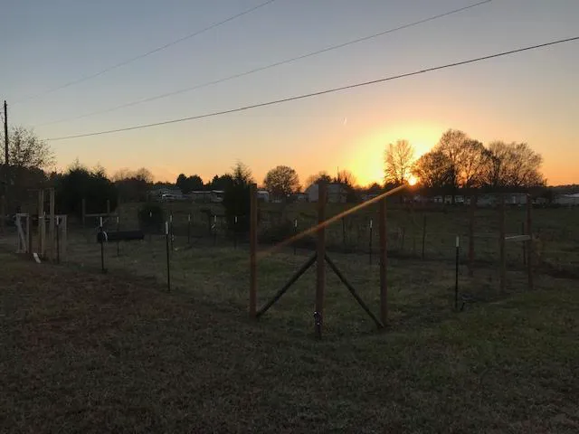 Cowpens Battlefield RV Park (Behind Dollar General) Picture 3