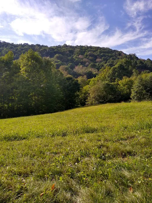 Blue Bear Mountain Picture 9