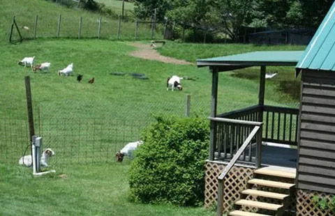 Boone KOA Holiday Picture 5