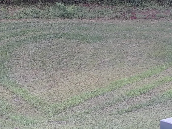 Candyland Mobile Home Park Picture 3
