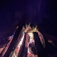 Two Oaks ico