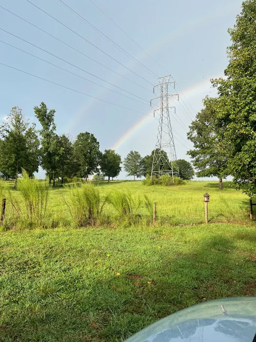 Orchard Park RV Campground Picture 7