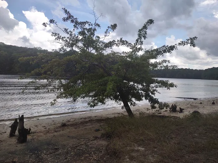 Shinleaf Group Campsites Picture 5