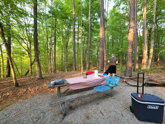 Shinleaf Group Campsites Picture 4