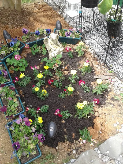 Rutherfordton RV Park Picture 6